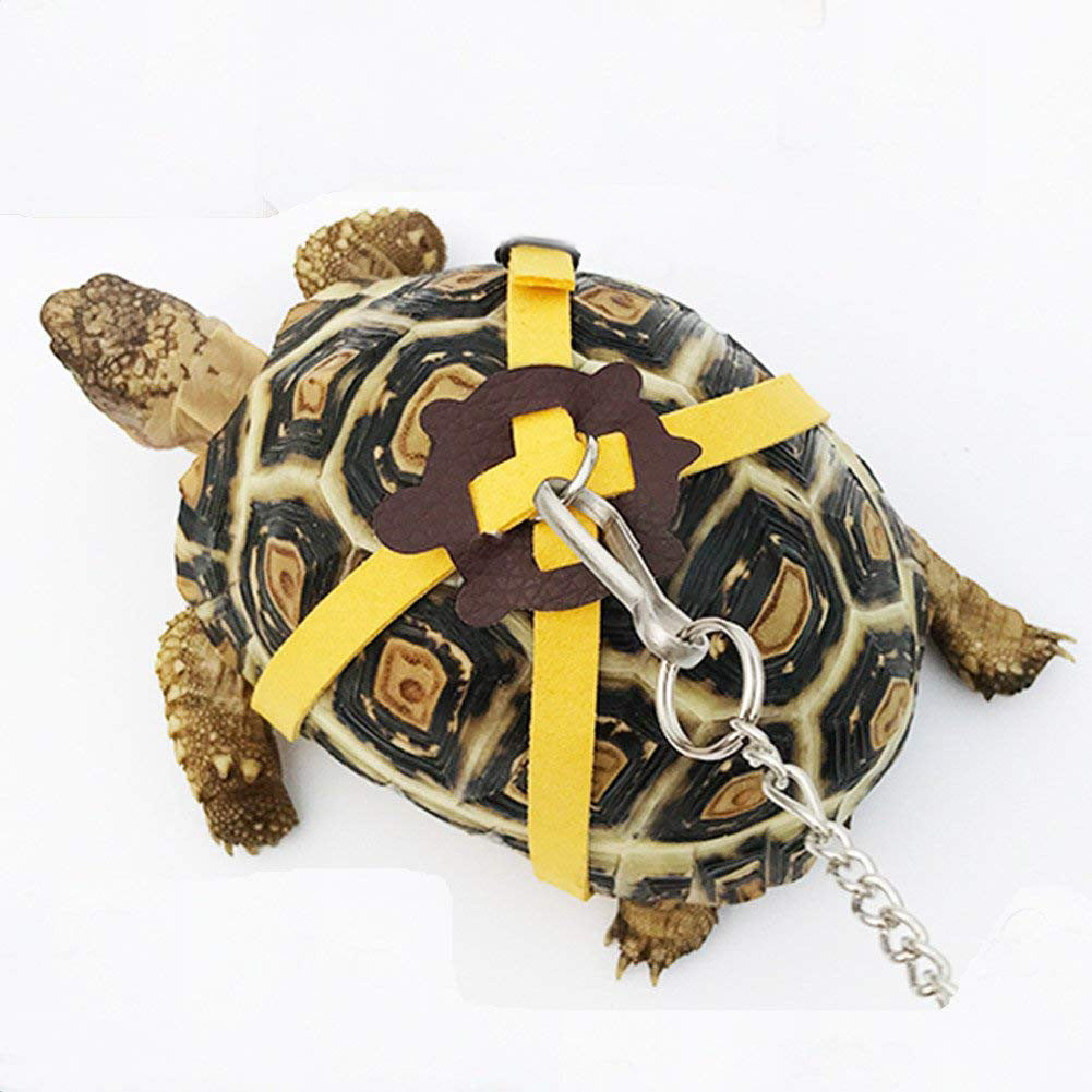 Turtle Leather Traction Rope