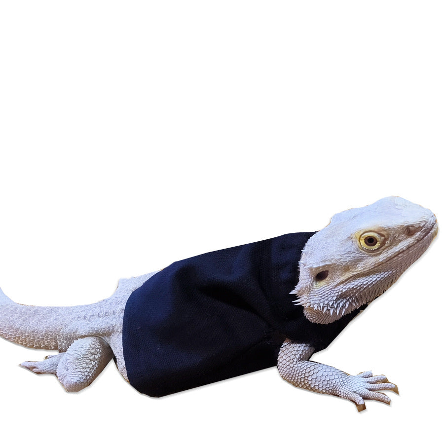 Lizards Handmade Jackets Set