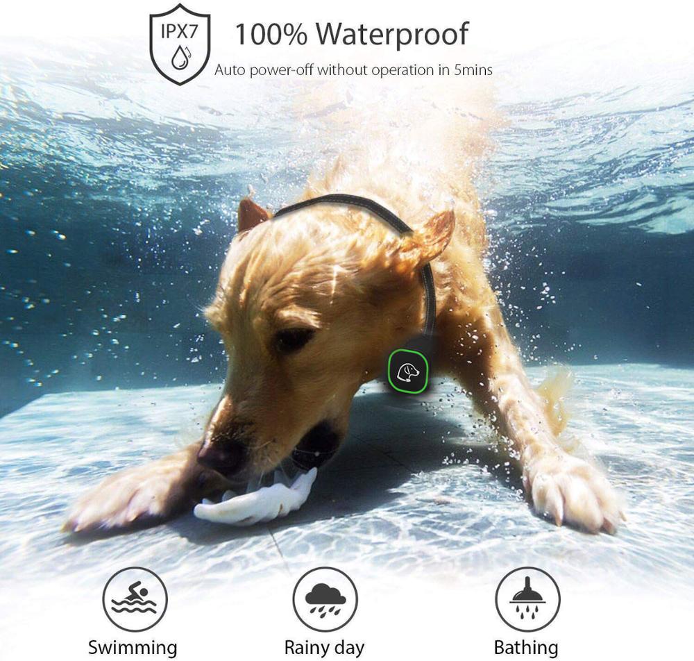 Waterproof Rechargeable Dog Training Collar
