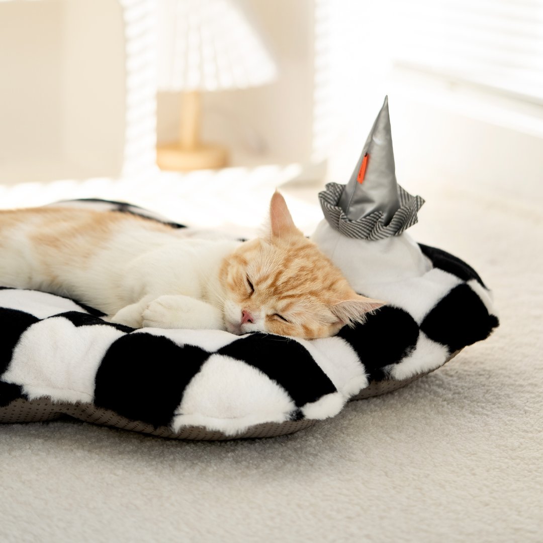 Wear-resistant Unique Ice-cream Cloud Shaped Mat Bed
