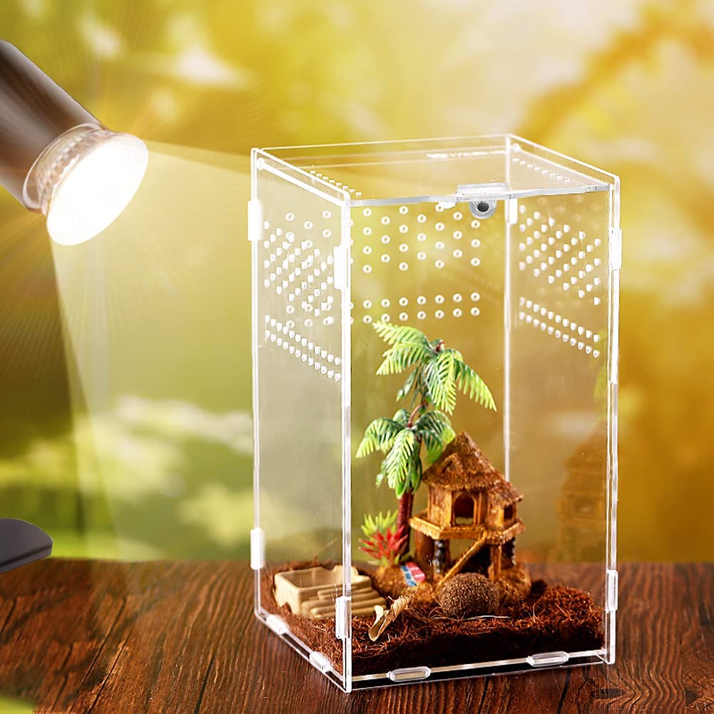 Assembled Acrylic Reptile Terrarium Habitat Breeding Box for Spider