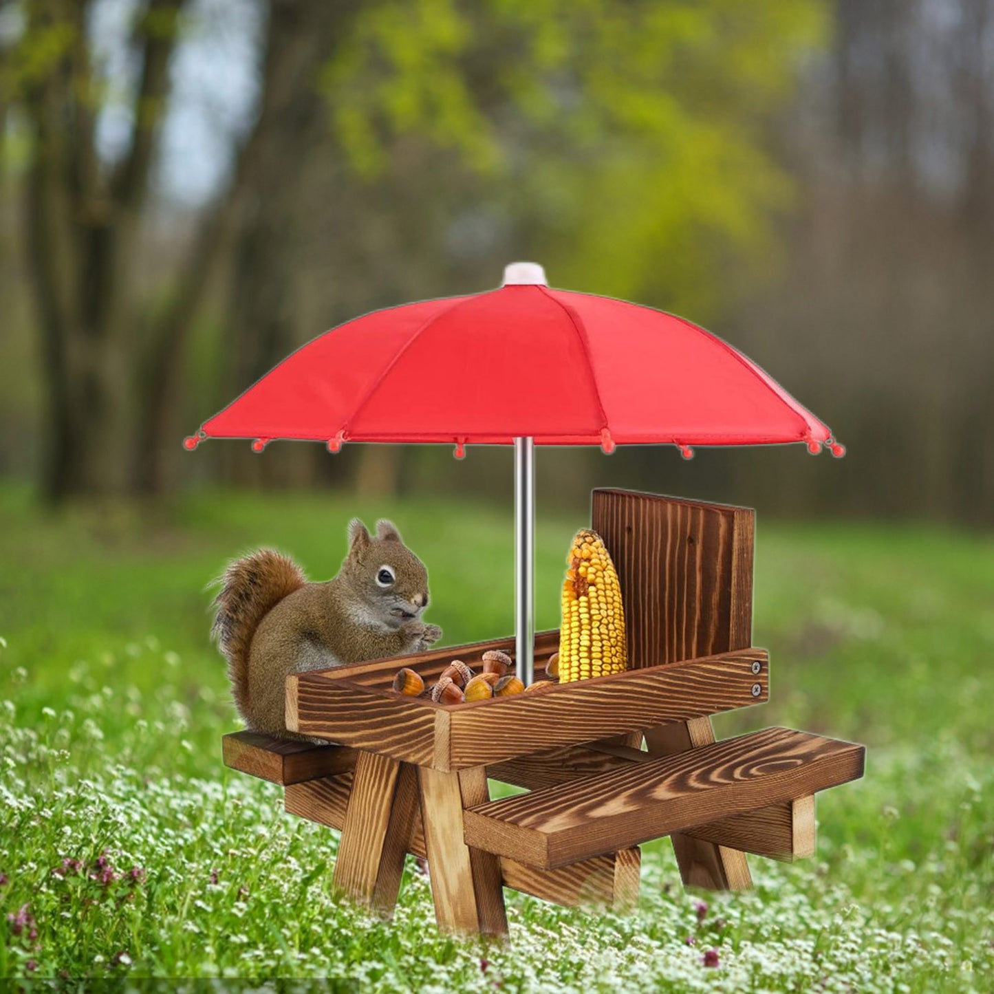 Squirrel Picnic Feeder Bench with Corn Cobs Holder for Backyard Garden