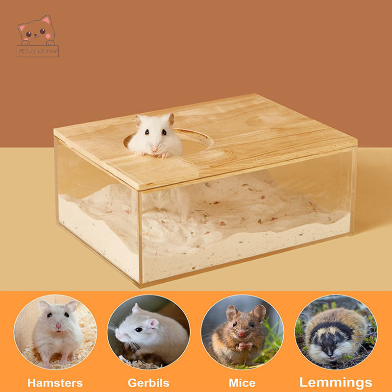 Transparent Sandbox Hamster Bathroom House