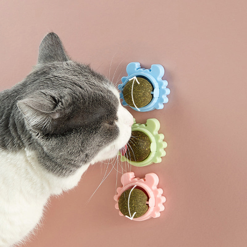 Cat Healthy Catnip Toys Ball - 1 Set (3pcs)