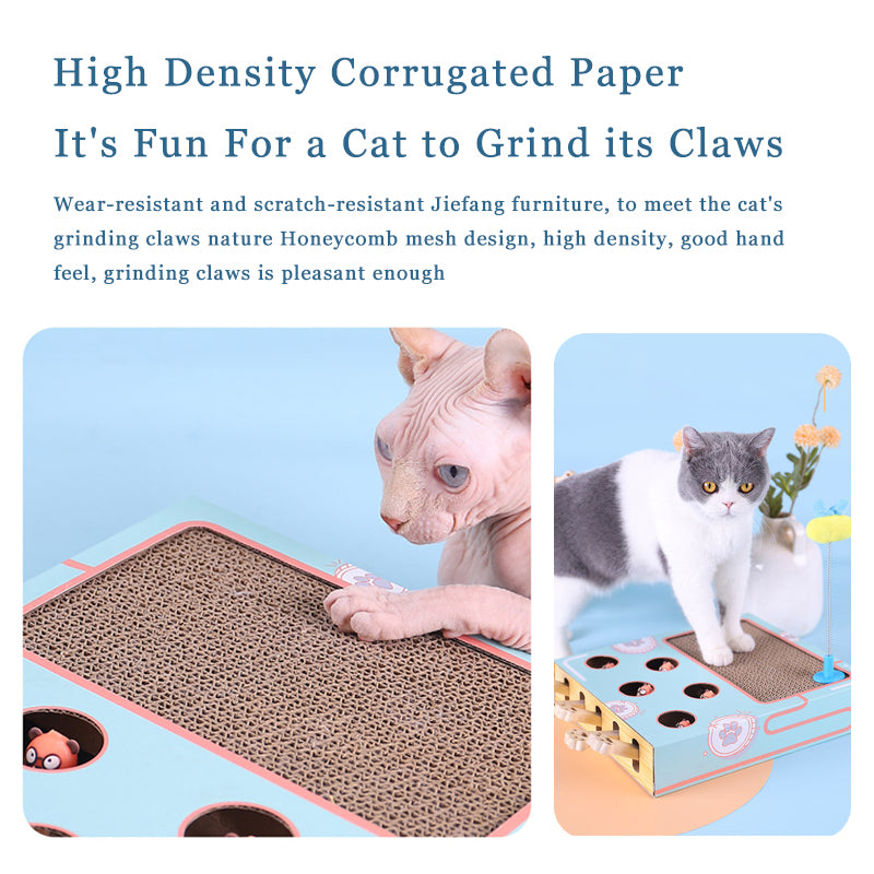 Funny Cat Scratching Board