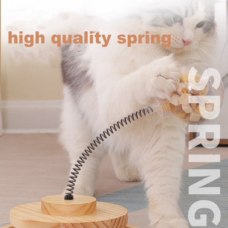 Solid Wood Tumbler Swing Toys Interactive Cat Feeder