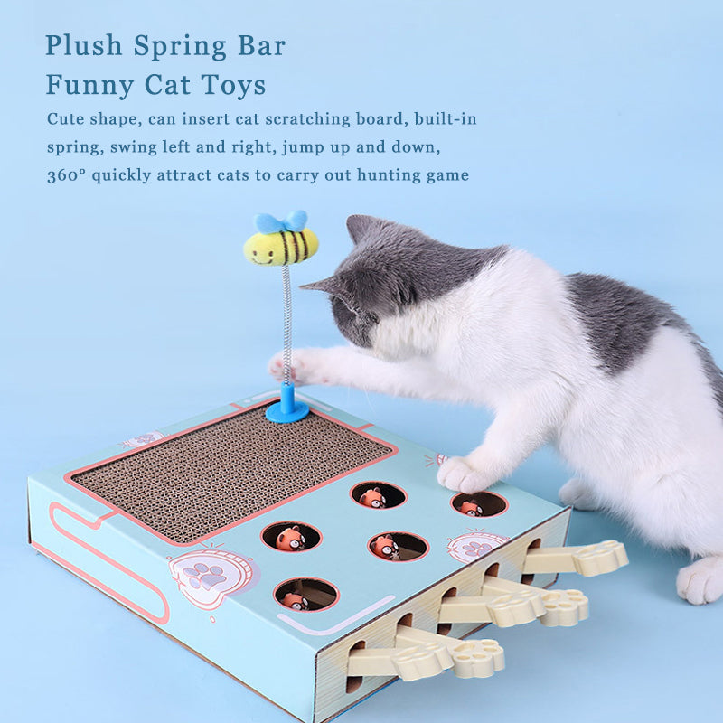 Funny Cat Scratching Board
