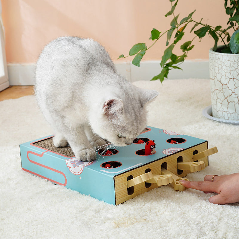 Funny Cat Scratching Board