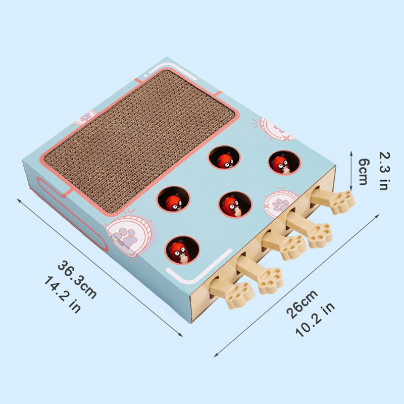 Funny Cat Scratching Board