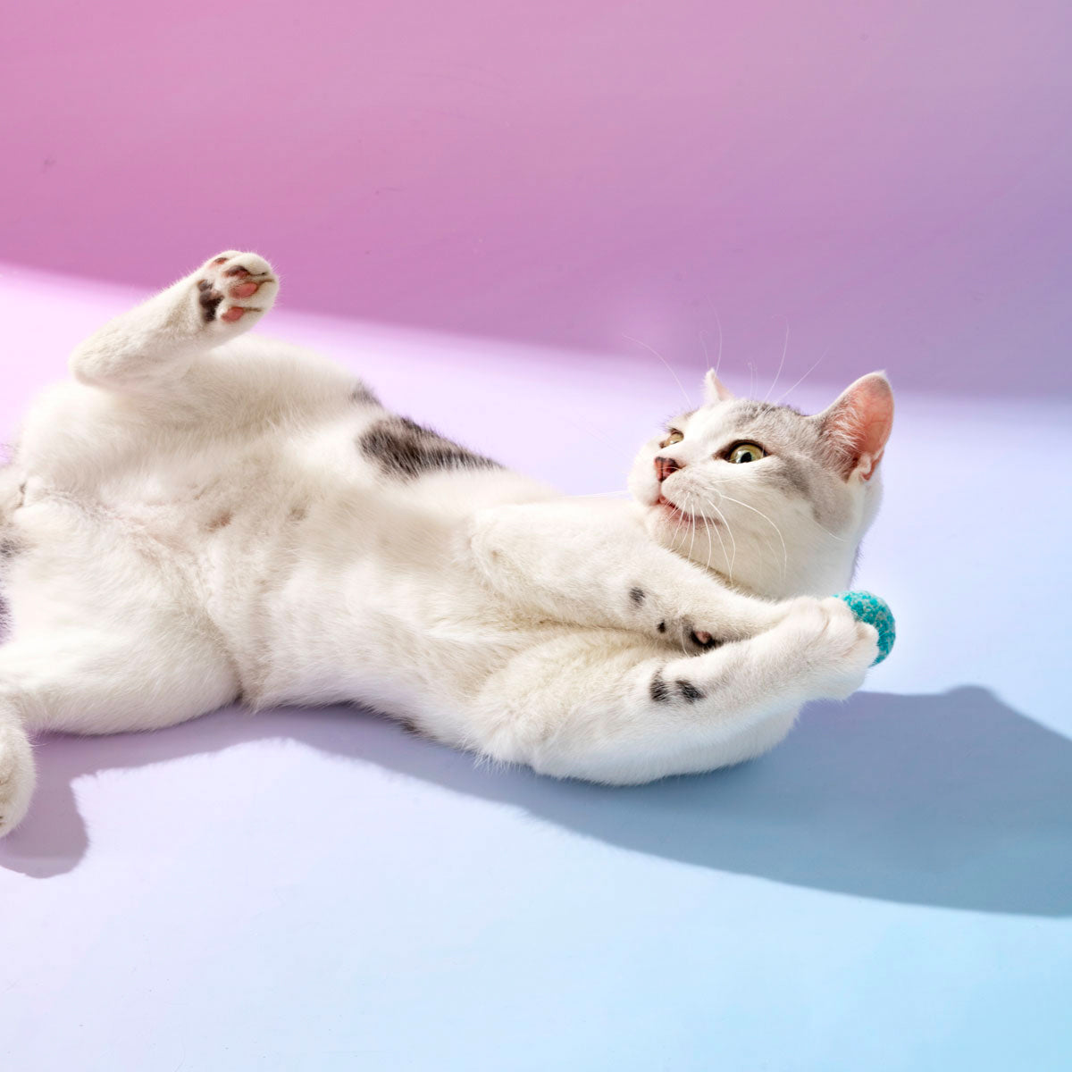 Cat Interactive Toys Tease Reliever Gun with 18 Hairballs