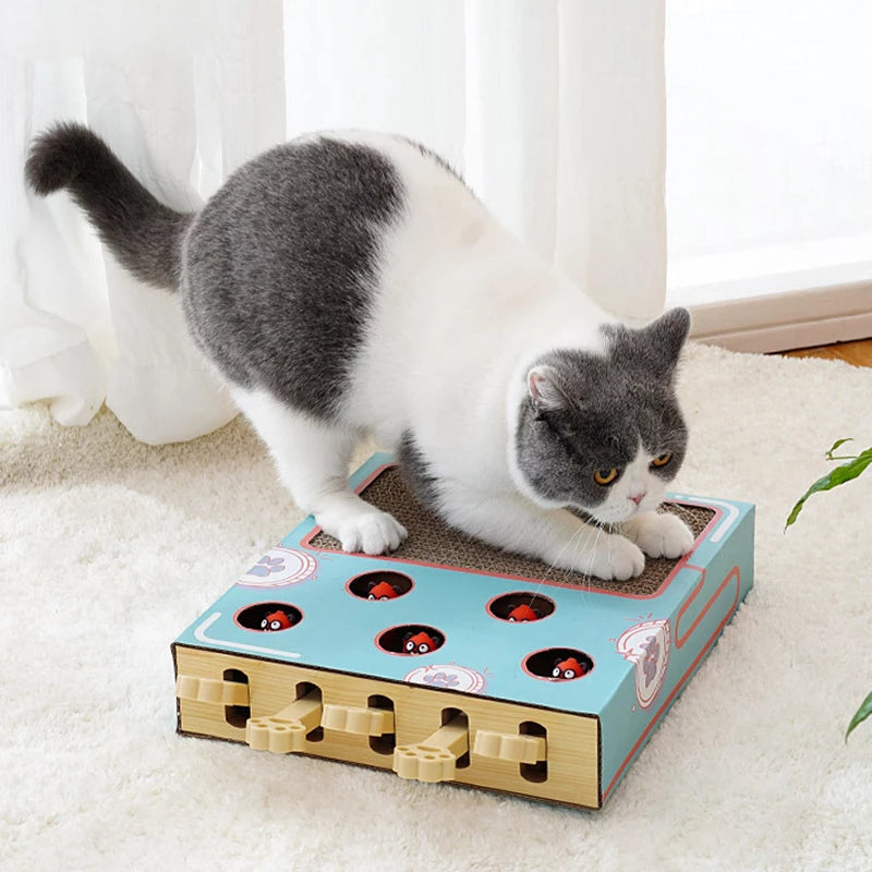Funny Cat Scratching Board