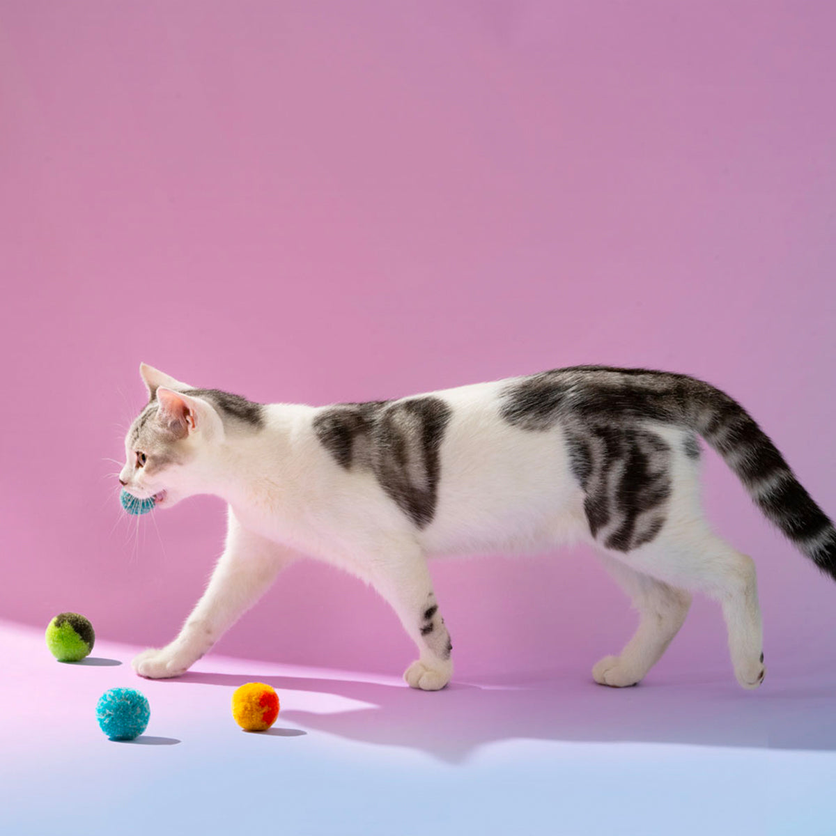 Cat Interactive Toys Tease Reliever Gun with 18 Hairballs