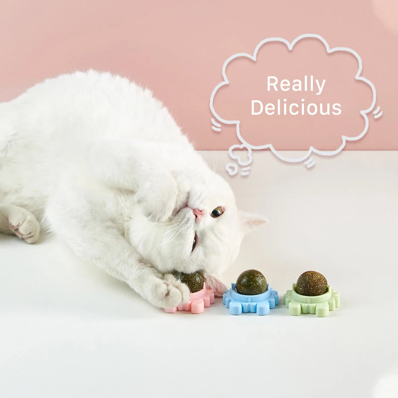 Cat Healthy Catnip Toys Ball - 1 Set (3pcs)
