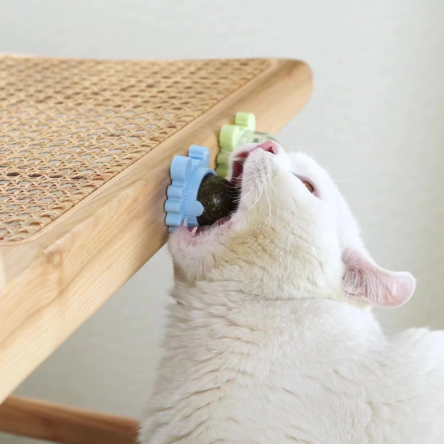 Cat Healthy Catnip Toys Ball - 1 Set (3pcs)