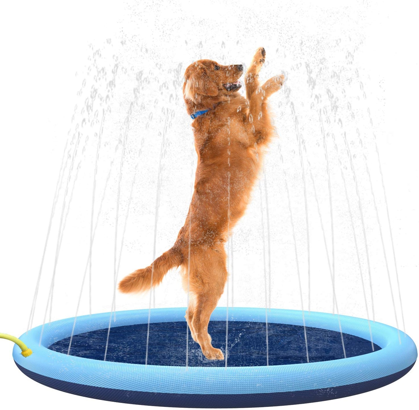 Dog Splash Sprinkler Pad