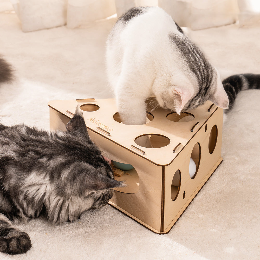 Multifunctional Interactive Funny Cat Triangle Teasing Box Puzzle with 3 Balls