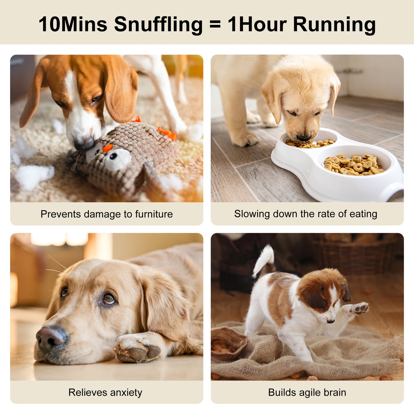 Honeycomb Interactive Smell Challenge Puzzle Toy for Dogs