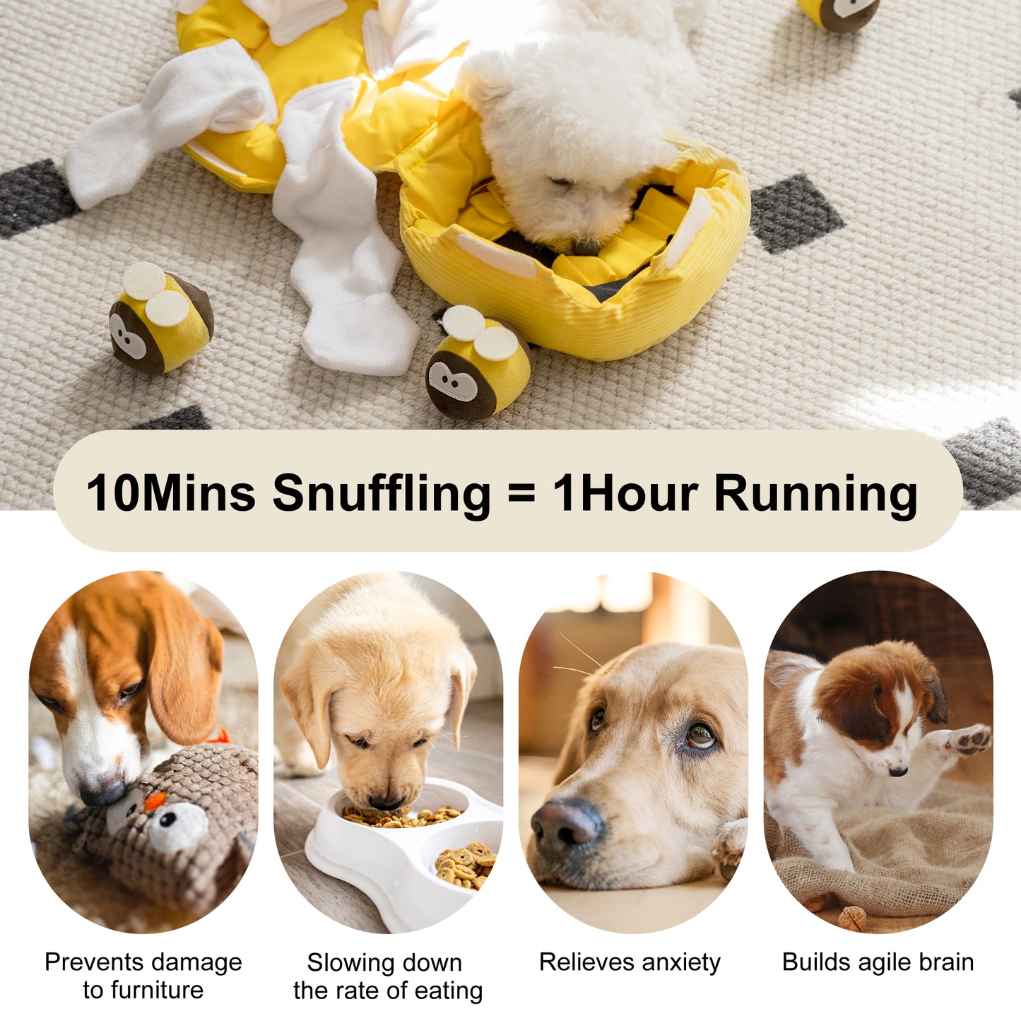 Honeycomb Interactive Smell Challenge Puzzle Toy for Dogs