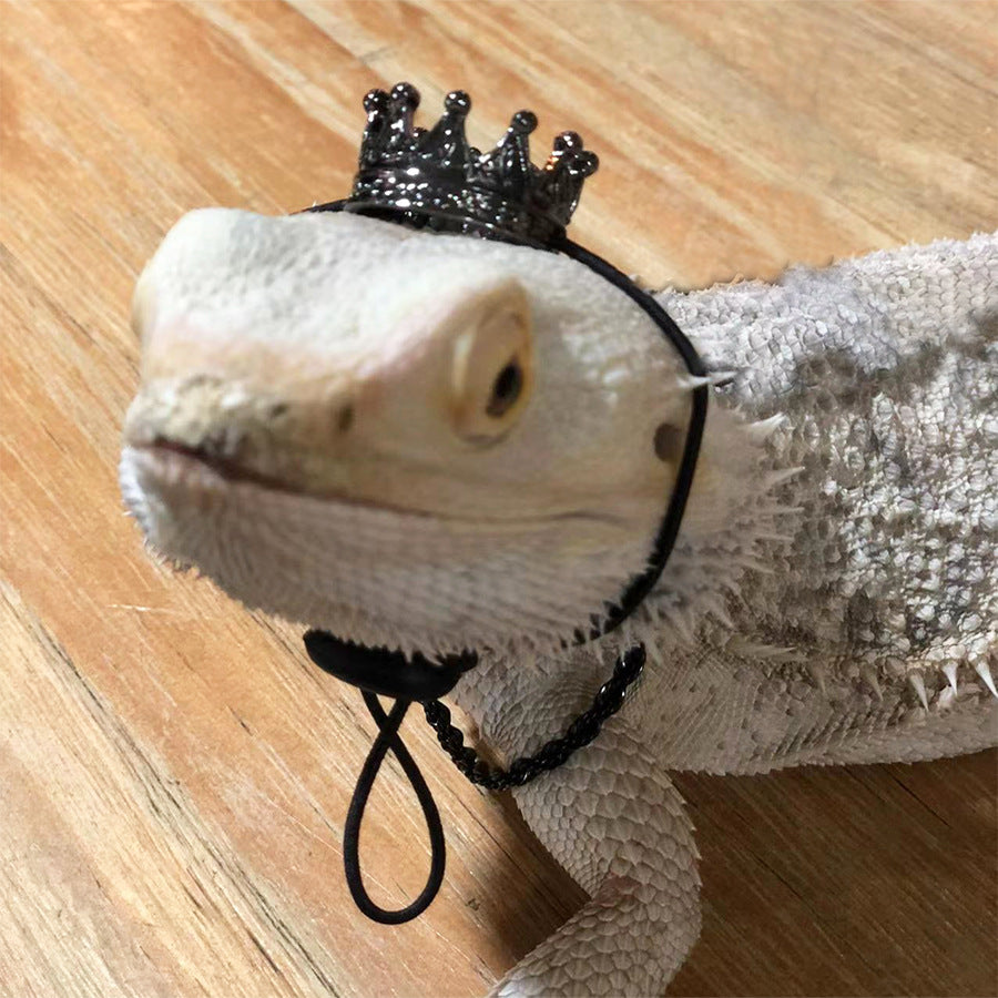 Lizards Geckos Crown/Necklace Decor Set