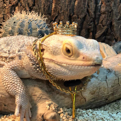 Lizards Geckos Crown/Necklace Decor Set
