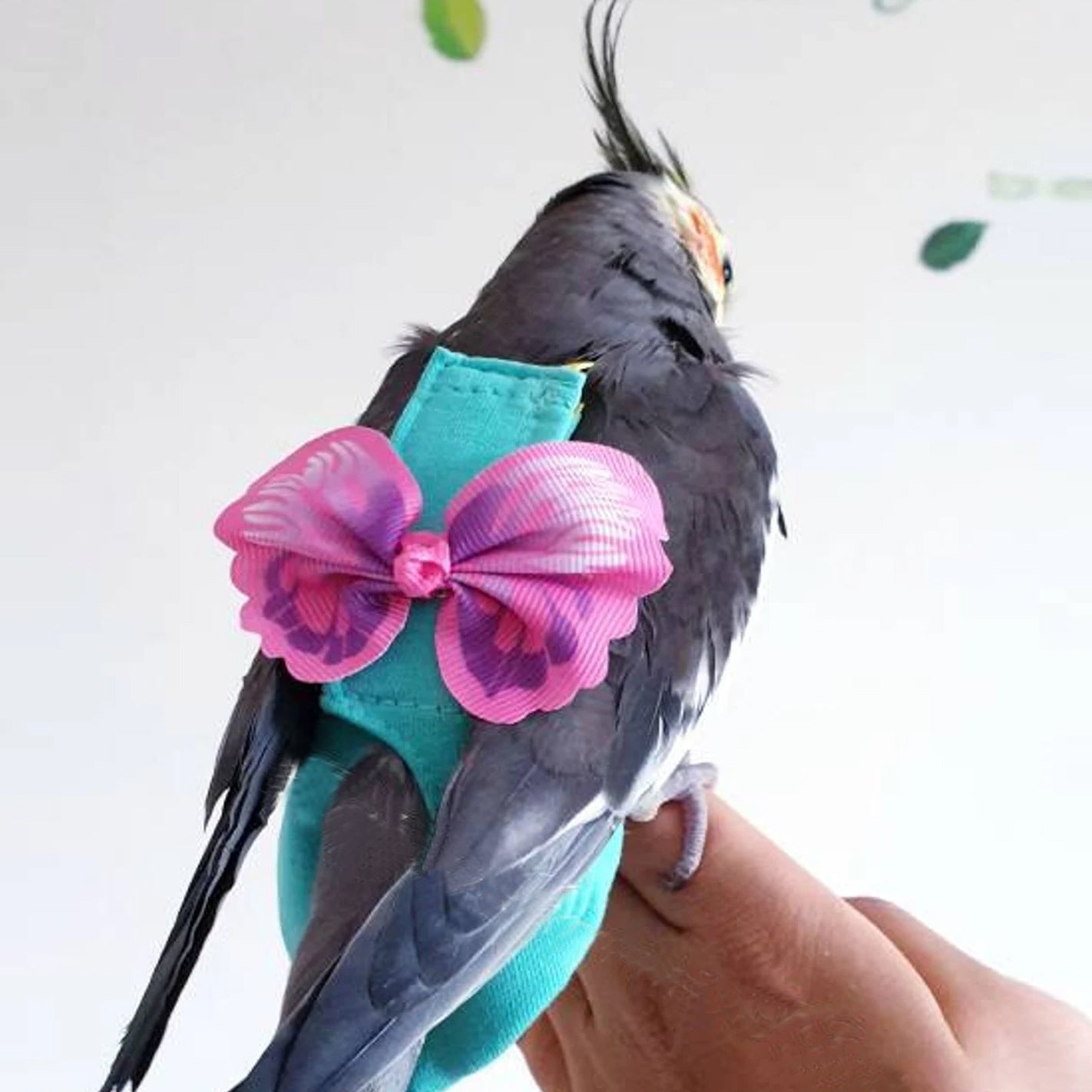 Birds Parrots Vest with Traction Rope