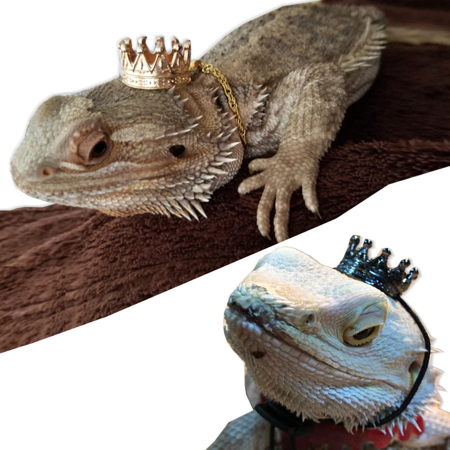 Lizards Geckos Crown/Necklace Decor Set