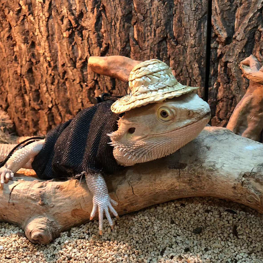 Lizards Handmade Jackets Set