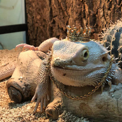 Lizards Geckos Crown/Necklace Decor Set