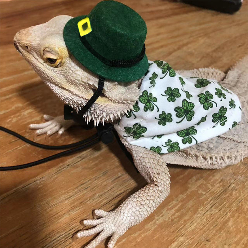 Irish Festival Theme Hat/Cape Set for Lizards or Geckos Decor