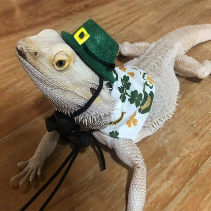 Irish Festival Theme Hat/Cape Set for Lizards or Geckos Decor