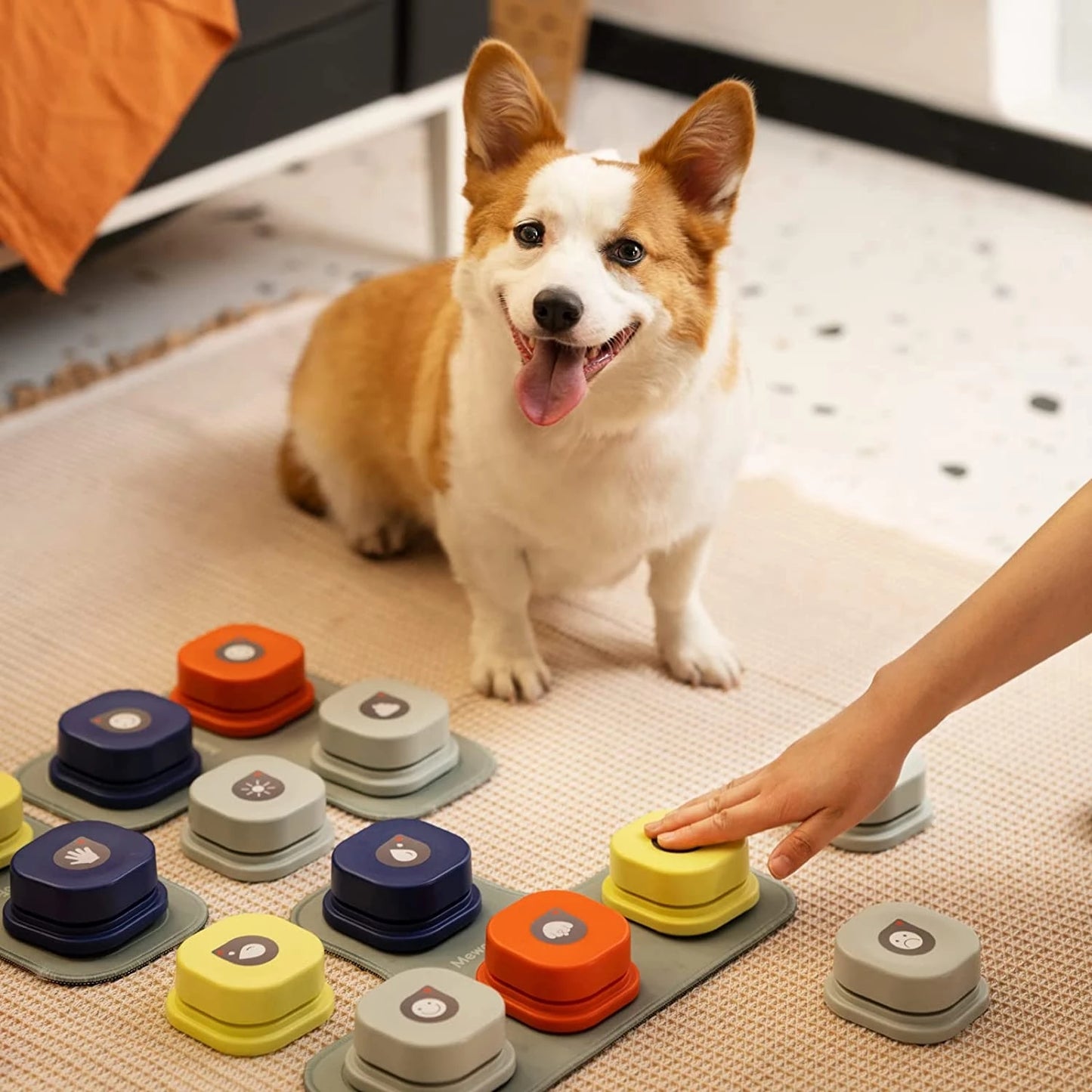 Pet Communication Vocal Training Interactive Toy with Mat
