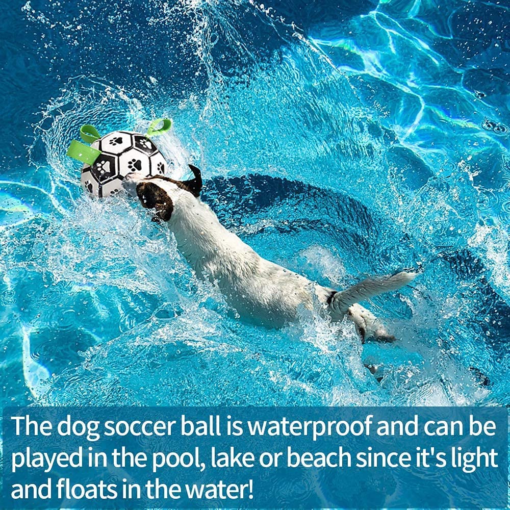 Outdoor Interactive Pets Training Football