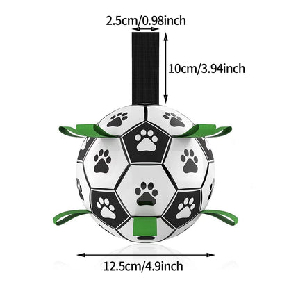 Outdoor Interactive Pets Training Football