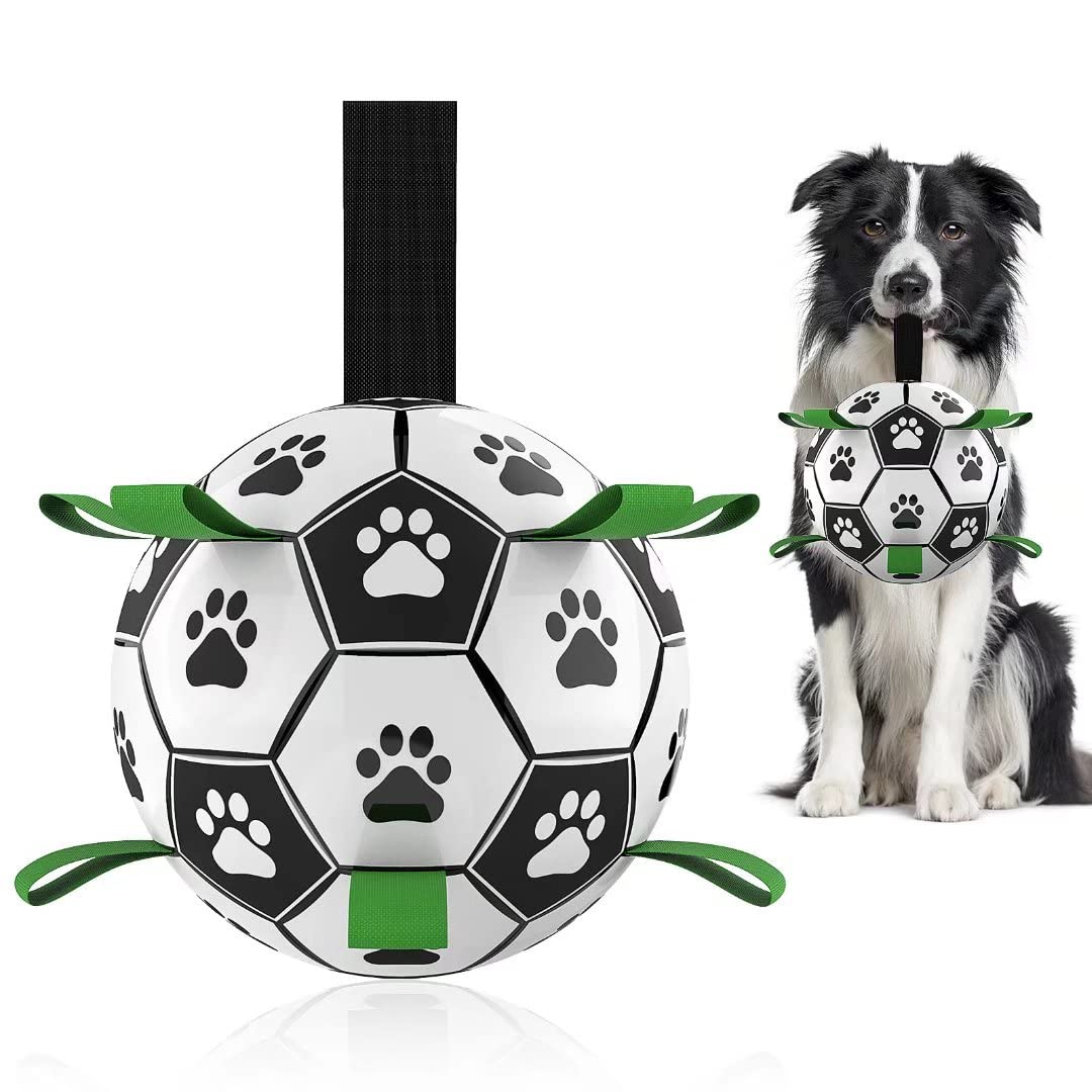 Outdoor Interactive Pets Training Football