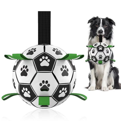 Outdoor Interactive Pets Training Football