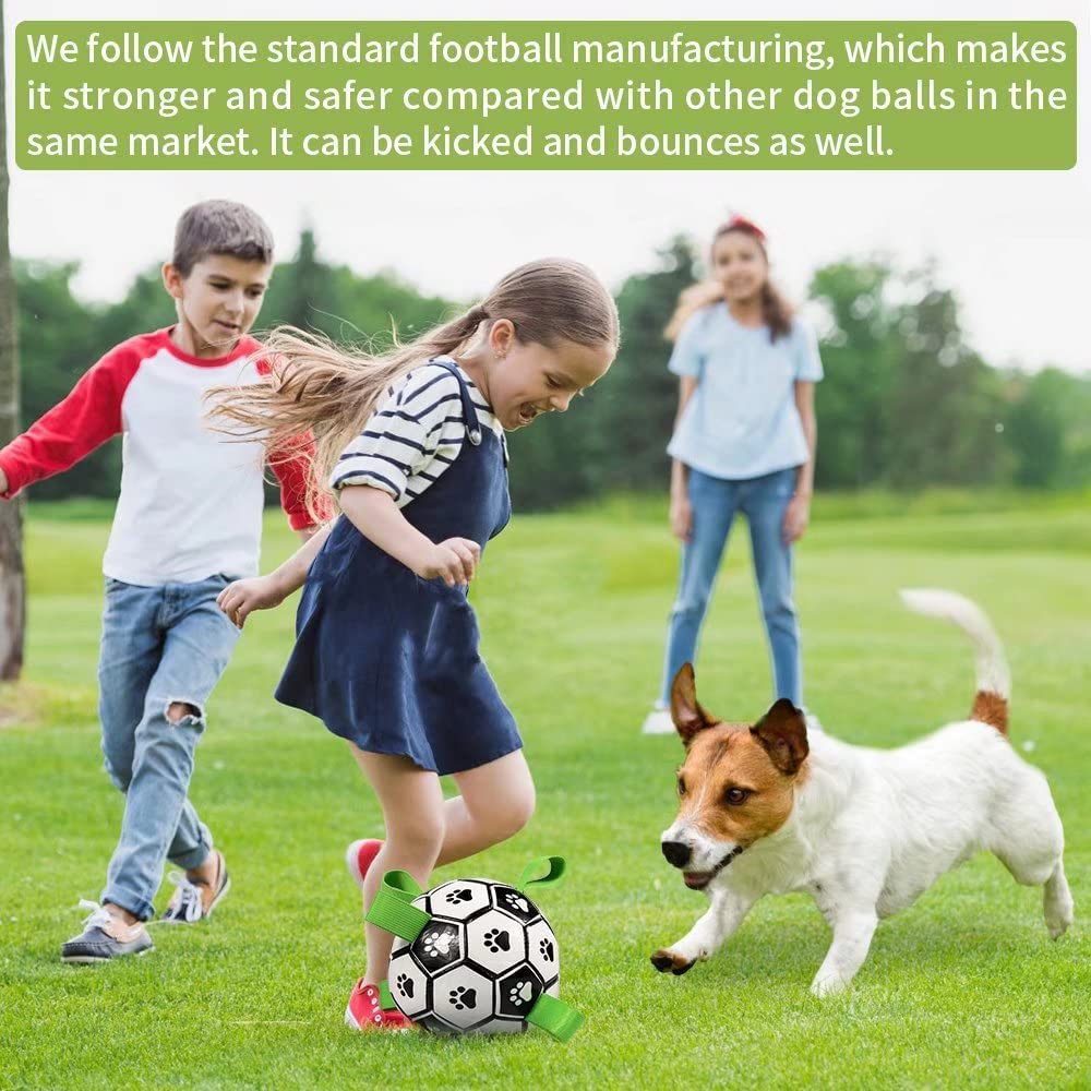 Outdoor Interactive Pets Training Football