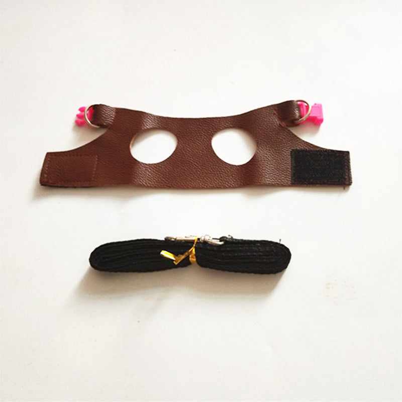 Squirrel PU Leather Vest Harness Lead