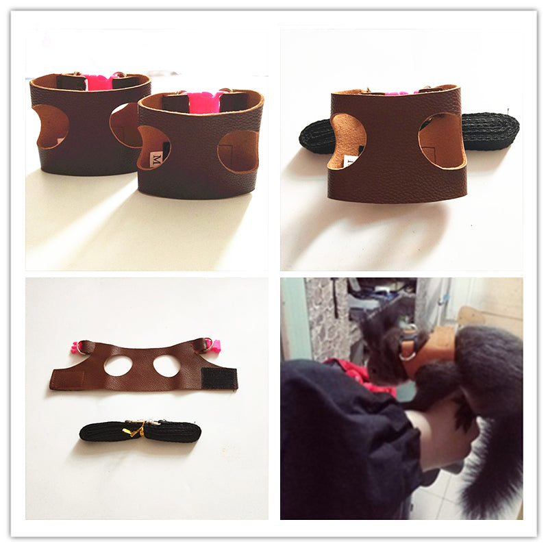 Squirrel PU Leather Vest Harness Lead