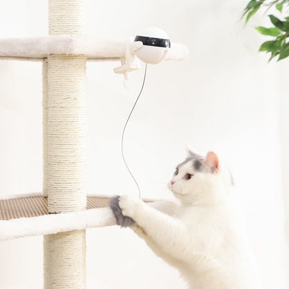 Funny Electric Lifting Ball Cats Teaser Toy