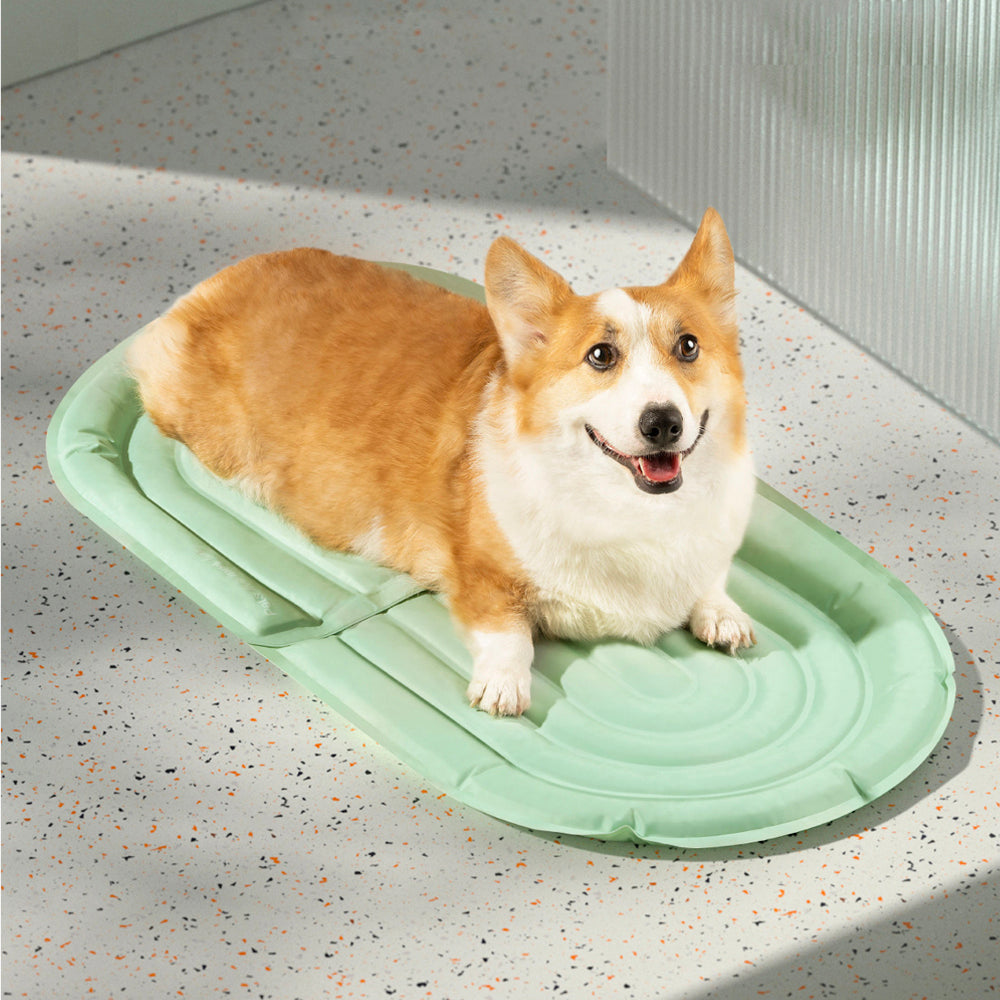 Pet Assembled Cooling Mat