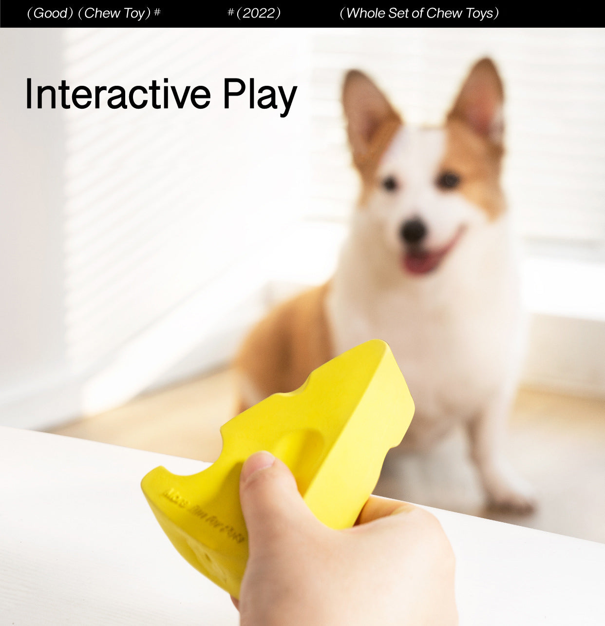 New Cute Shape Dog Chow Toys for Small-Medium Dogs