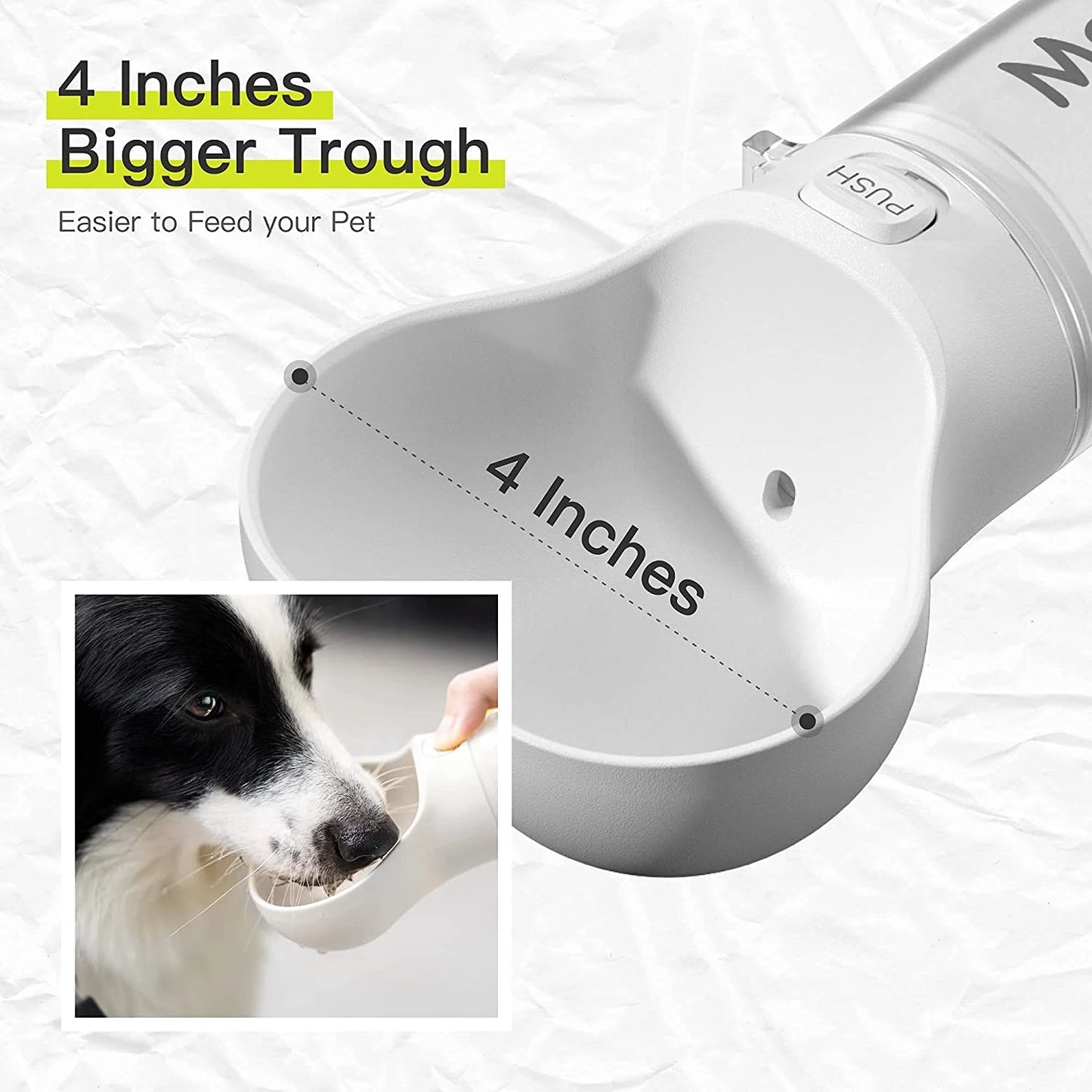 Outdoor Pet Water Bottle
