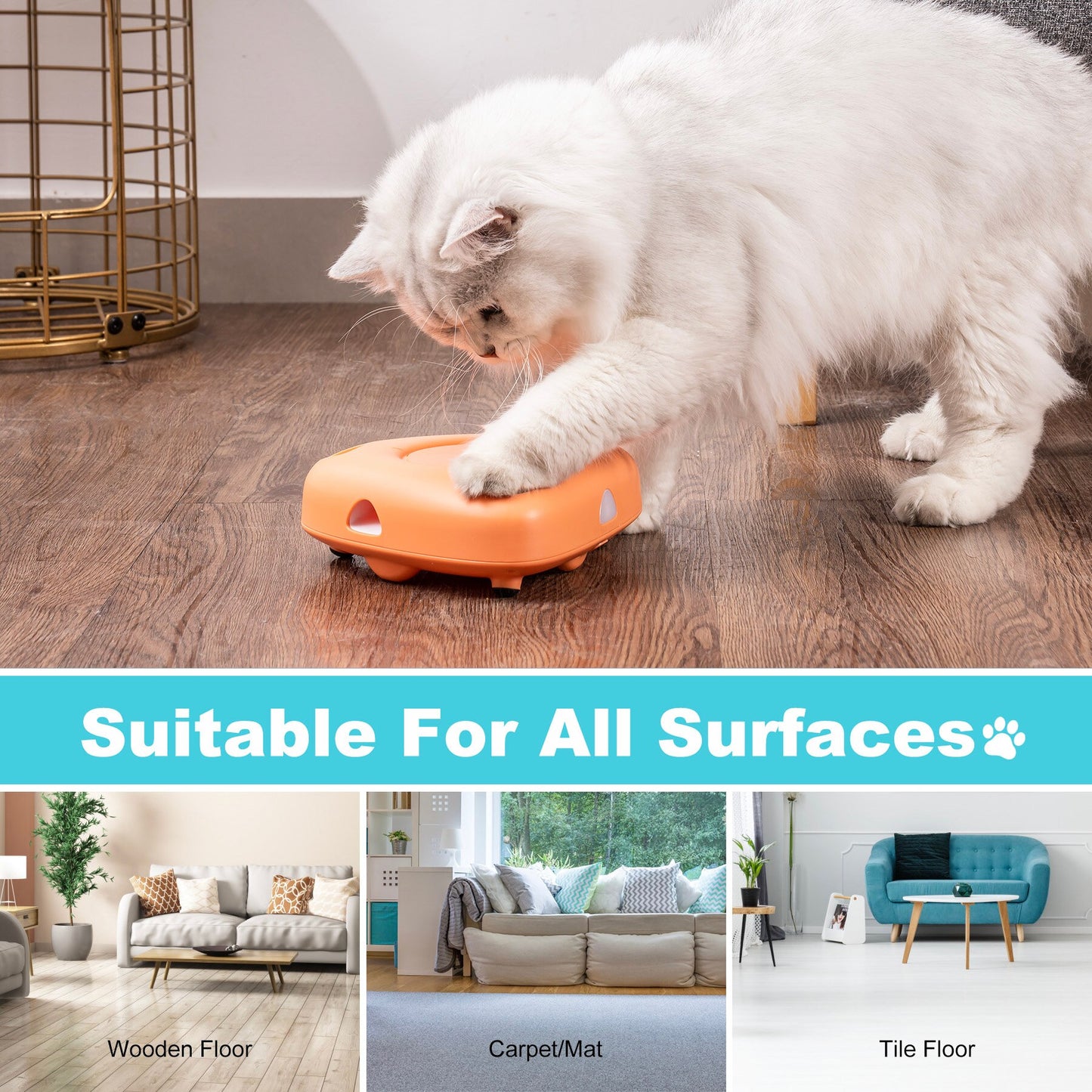 Interactive Cat Toys for Indoor with 6 Replacement Feathers