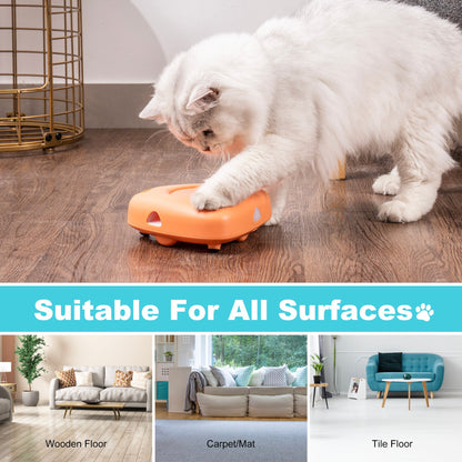 Interactive Cat Toys for Indoor with 6 Replacement Feathers