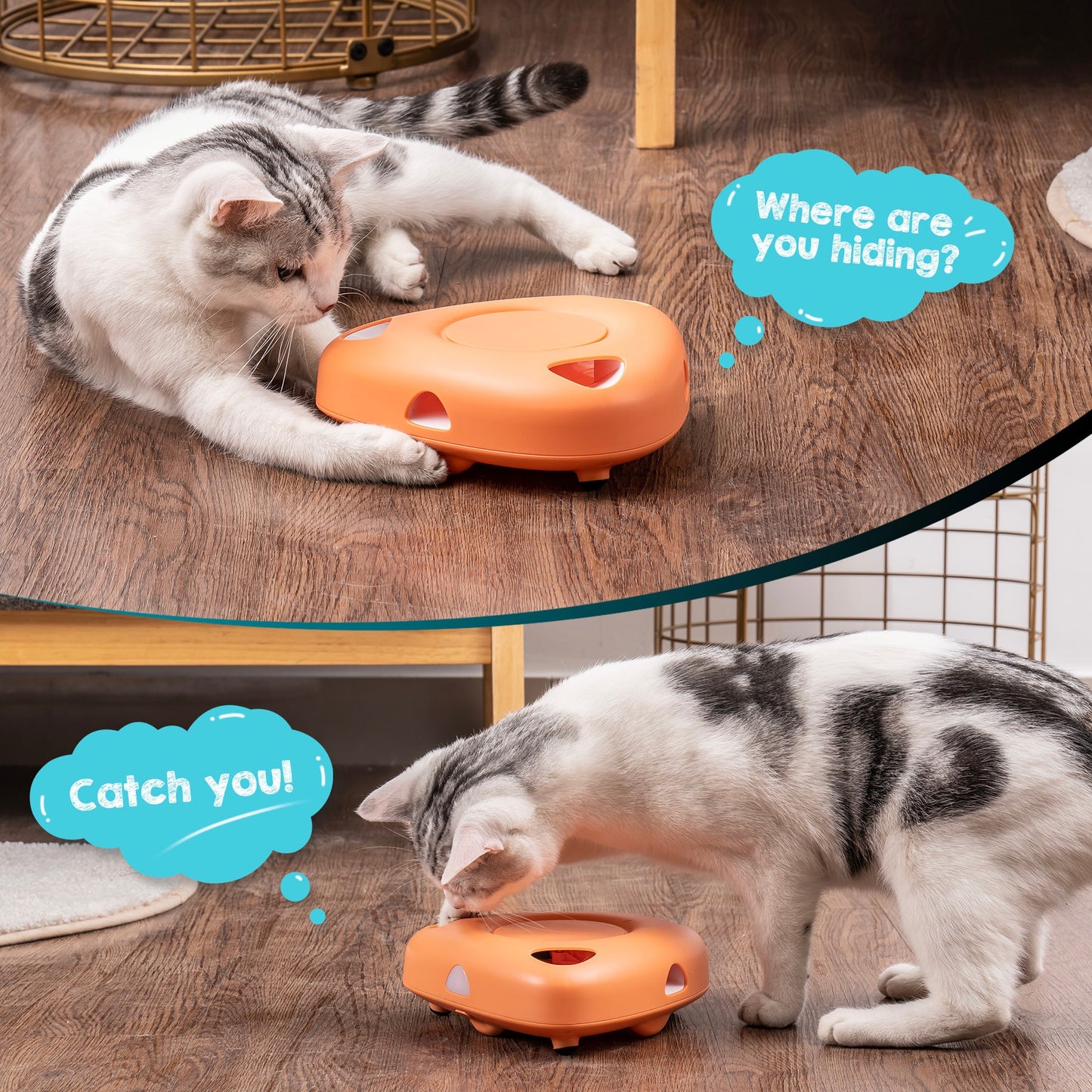 Interactive Cat Toys for Indoor with 6 Replacement Feathers