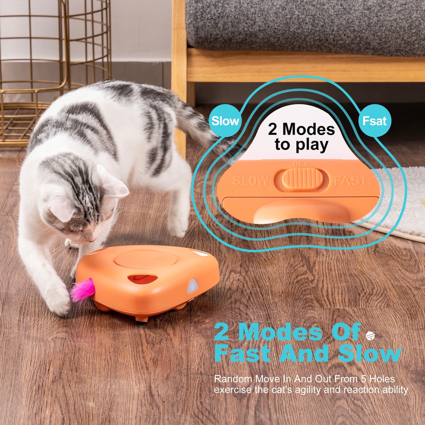Interactive Cat Toys for Indoor with 6 Replacement Feathers