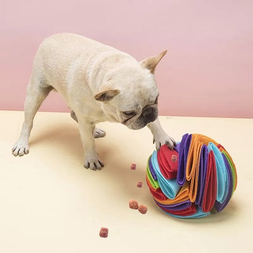 Snuffle Dog Ball