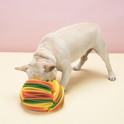 Snuffle Dog Ball